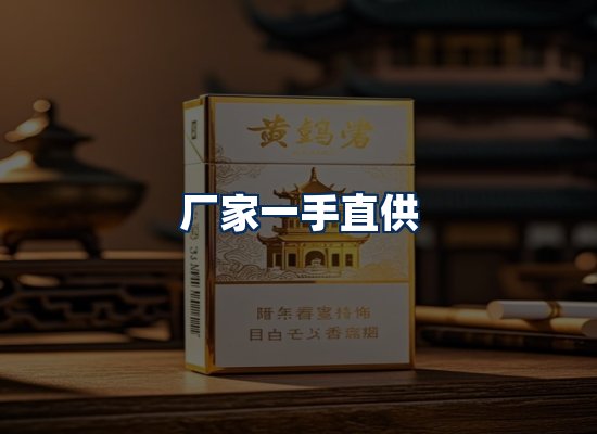 专业团队办公环境